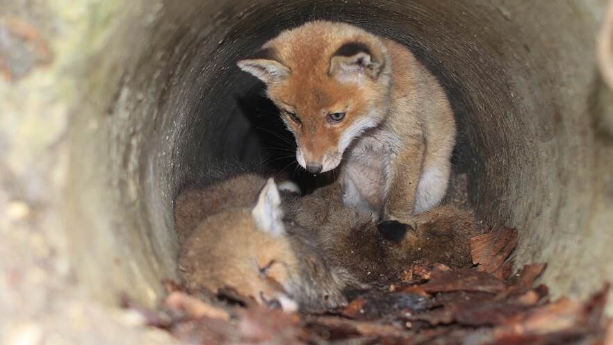 Naturfotos unserer Leser 2016