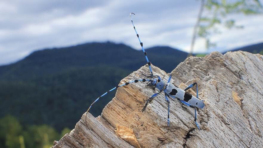 Naturfotos unserer Leser 2016