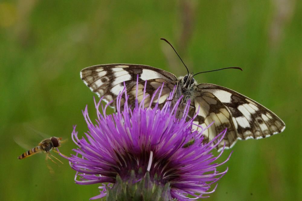 Naturfotos unserer Leser 2016