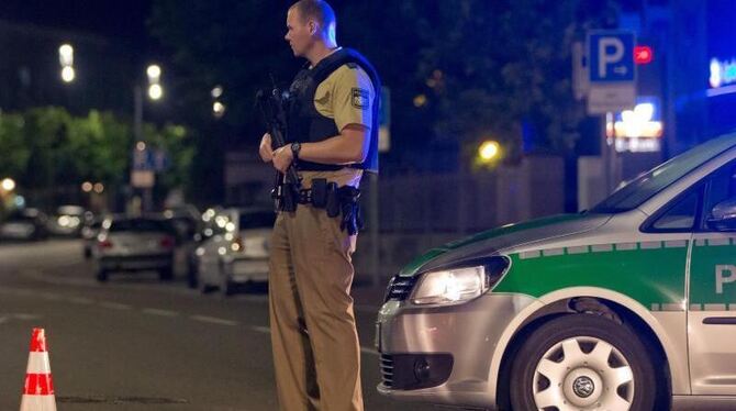 Ein schwerbewaffneter Polizist bewacht die Zufahrtsstraße zur Altstadt. Foto: Daniel Karmann