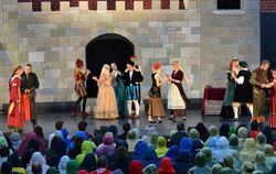 Das Ensemble von »Robin Hood« auf der Metzinger Kelternfestspiele-Bühne.