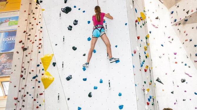 Hoch hinaus: Die GEA-Leser, die den zweitägigen Kletterkurs gewonnen hatten, lernten in der DAV-Halle, wie man die Wände hoch ge