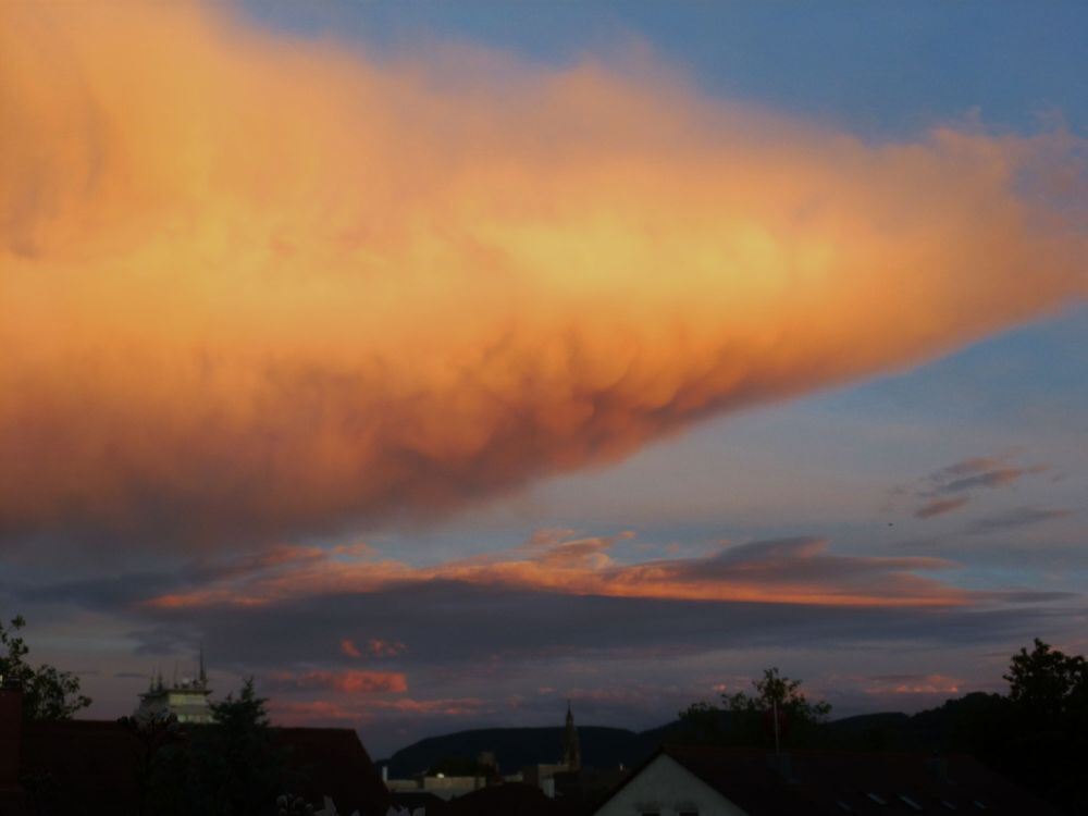 Foto: Heidi Hauswald