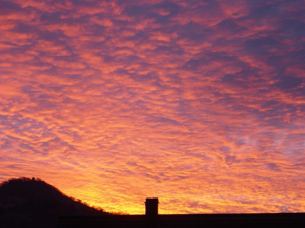 Foto: Heidi Hauswald