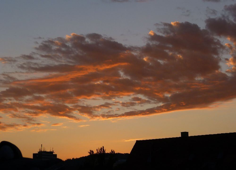 Foto: Heidi Hauswald