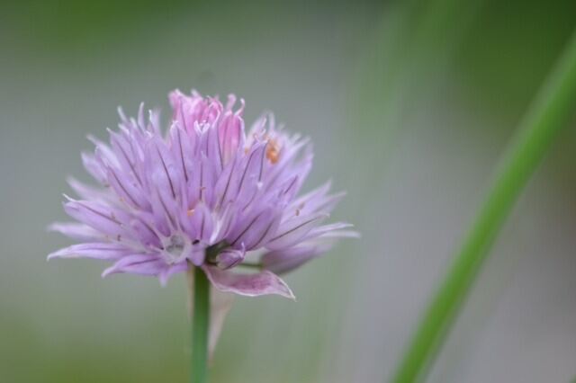 Naturfotos unserer Leser 2016