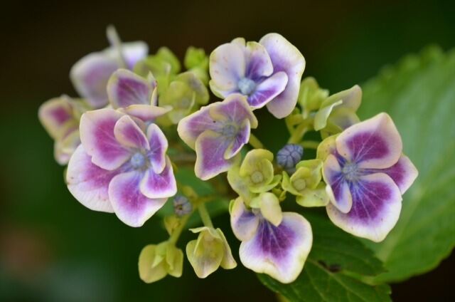Naturfotos unserer Leser 2016