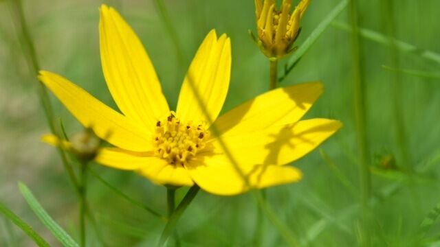 Naturfotos unserer Leser 2016