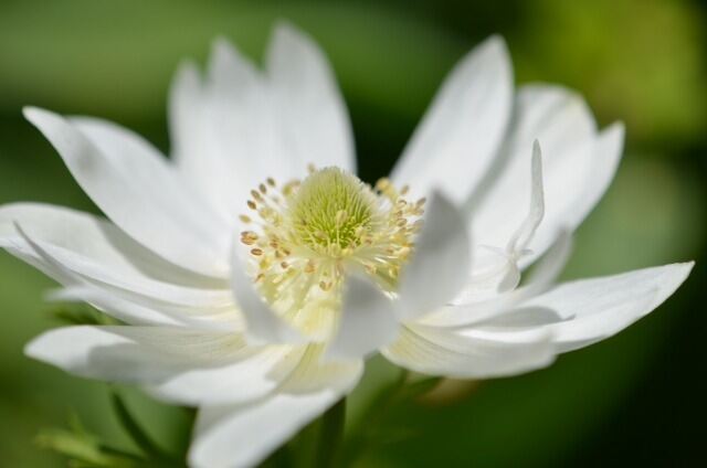 Naturfotos unserer Leser 2016