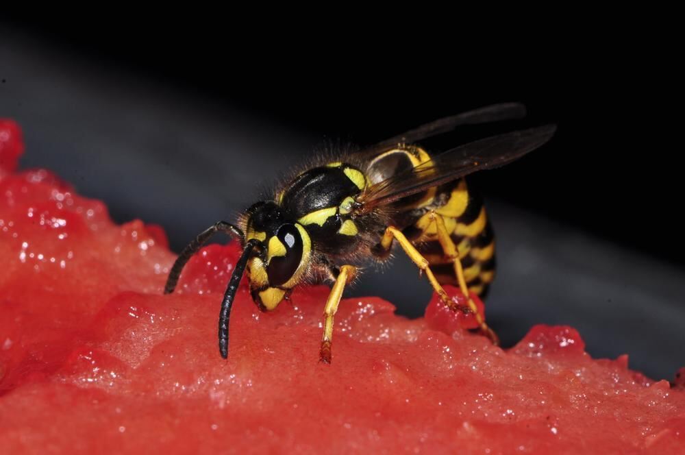 Naturfotos unserer Leser 2016