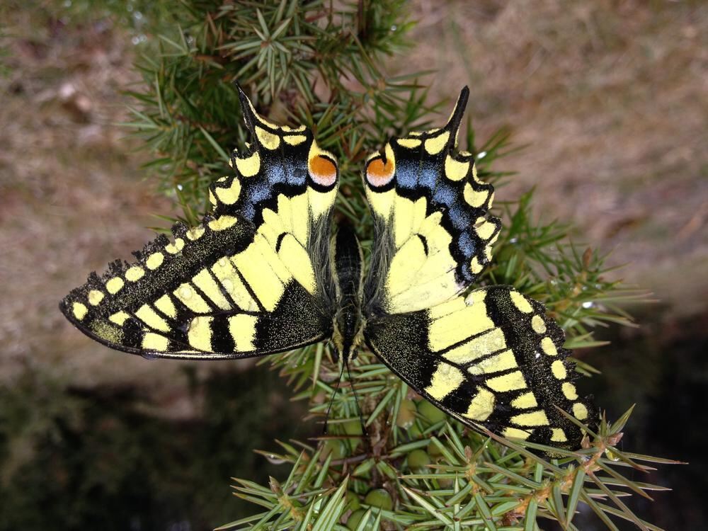 Naturfotos unserer Leser 2016