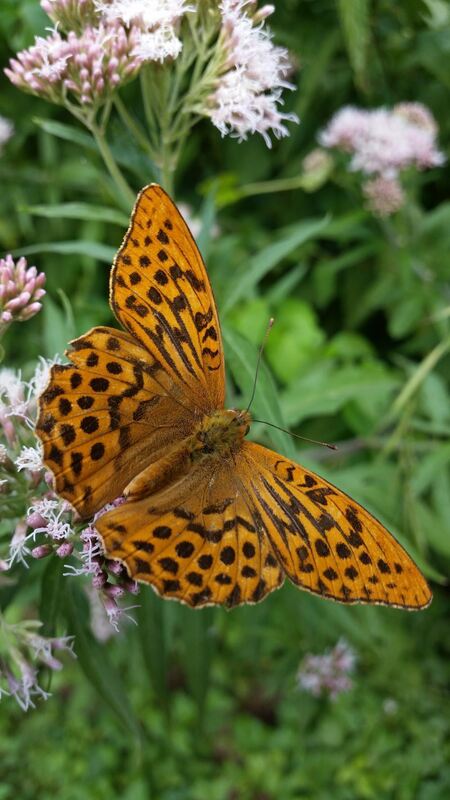 Naturfotos unserer Leser 2016