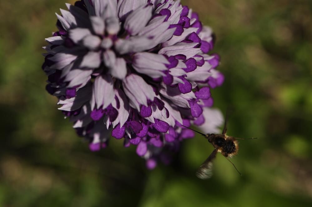 Naturfotos unserer Leser 2016