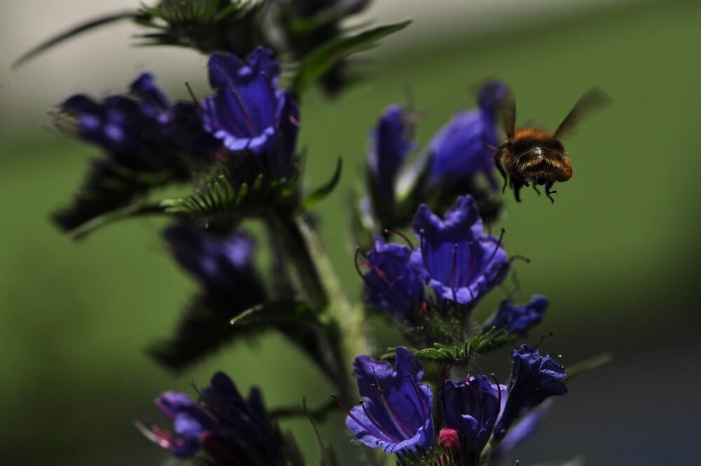 Naturfotos unserer Leser 2016