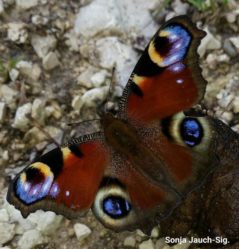 Naturfotos unserer Leser 2016