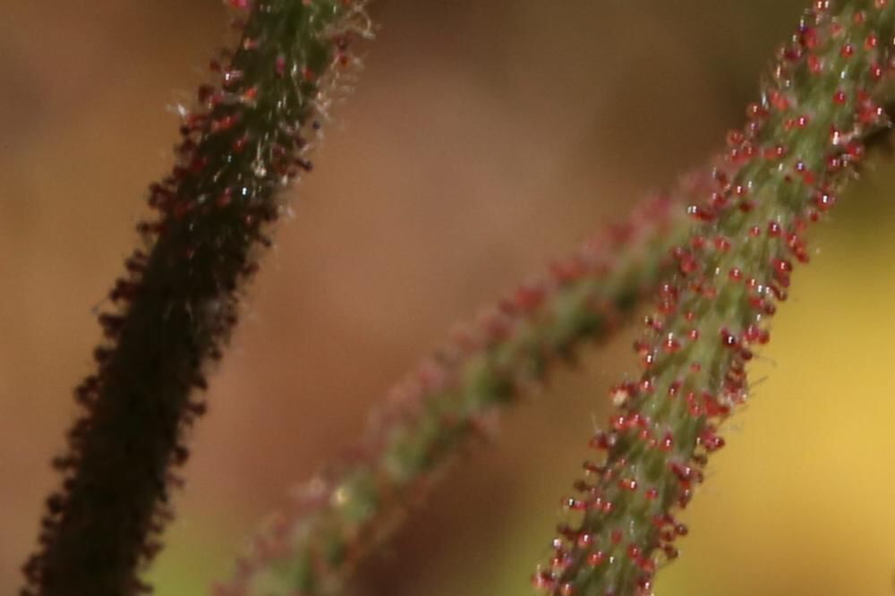 Naturfotos unserer Leser 2016