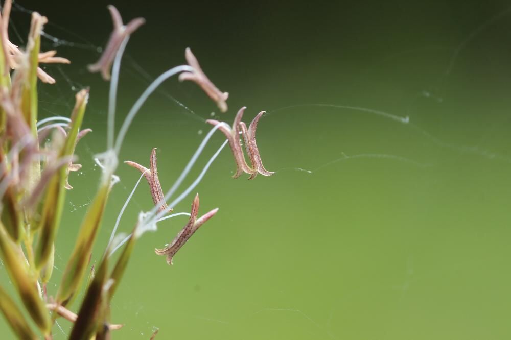 Naturfotos unserer Leser 2016