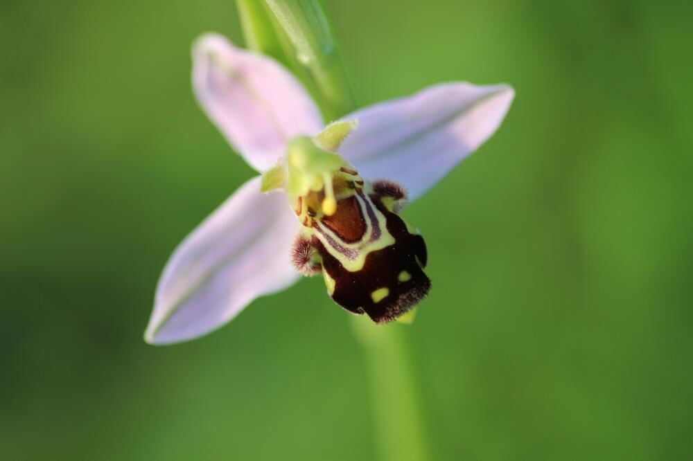 Naturfotos unserer Leser 2016