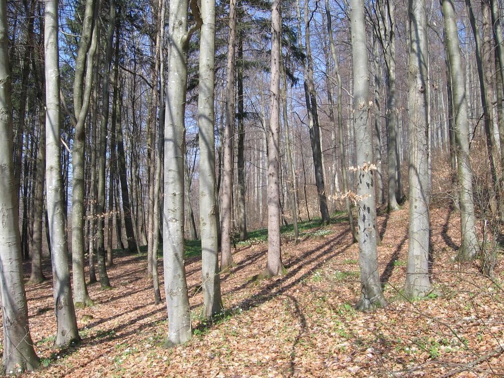 Naturfotos unserer Leser 2016