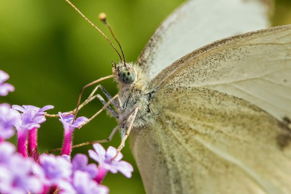 Naturfotos unserer Leser 2016