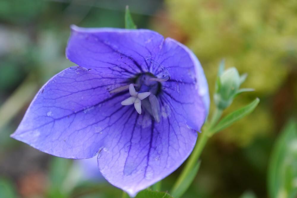 Naturfotos unserer Leser 2016