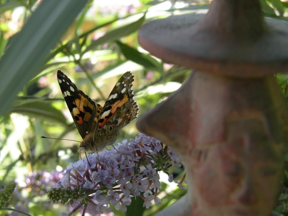 Naturfotos unserer Leser 2016