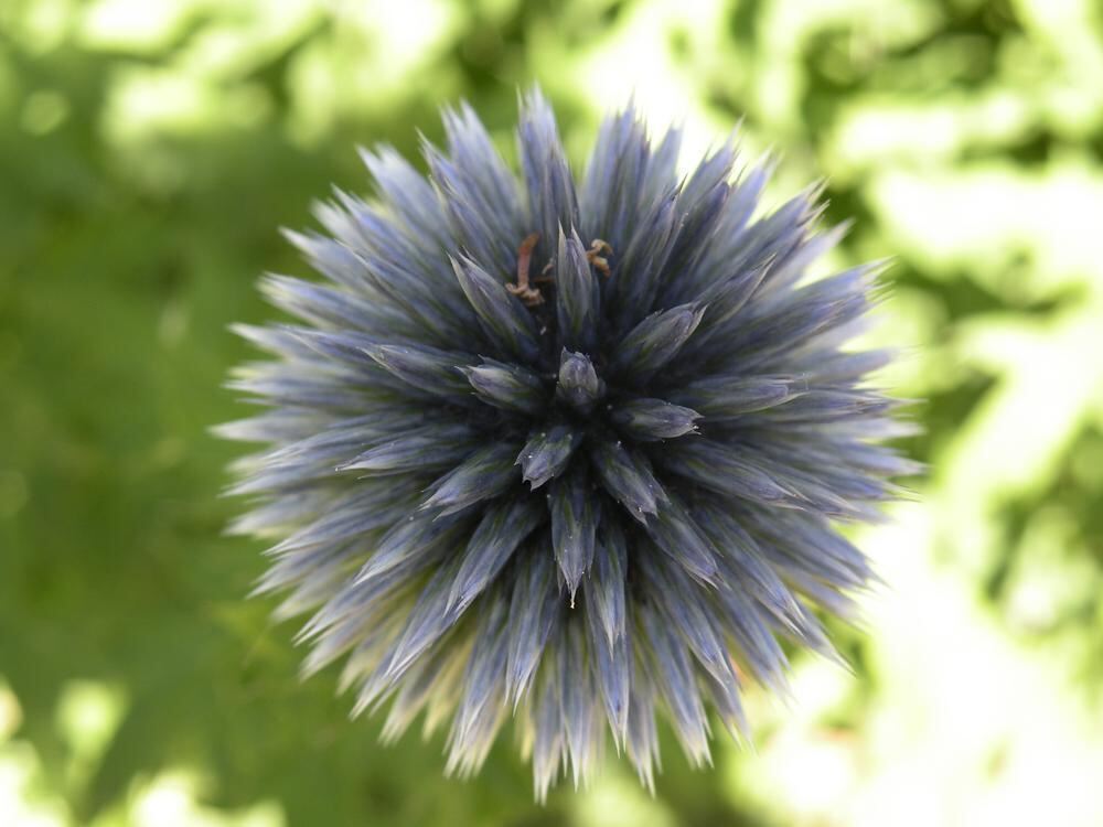 Naturfotos unserer Leser 2016