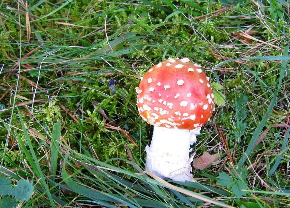 Naturfotos unserer Leser 2016