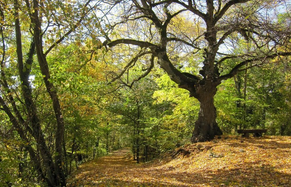 Naturfotos unserer Leser 2016