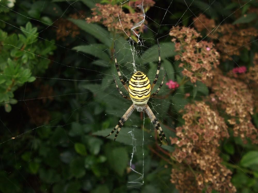 Naturfotos unserer Leser 2016