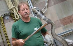 Harry Aberle, Tierpfleger im Stuttgarter Zoo «Wilhelma», hält in Stuttgart eine giftige Brillenschlange. Foto: Franziska Kraufma