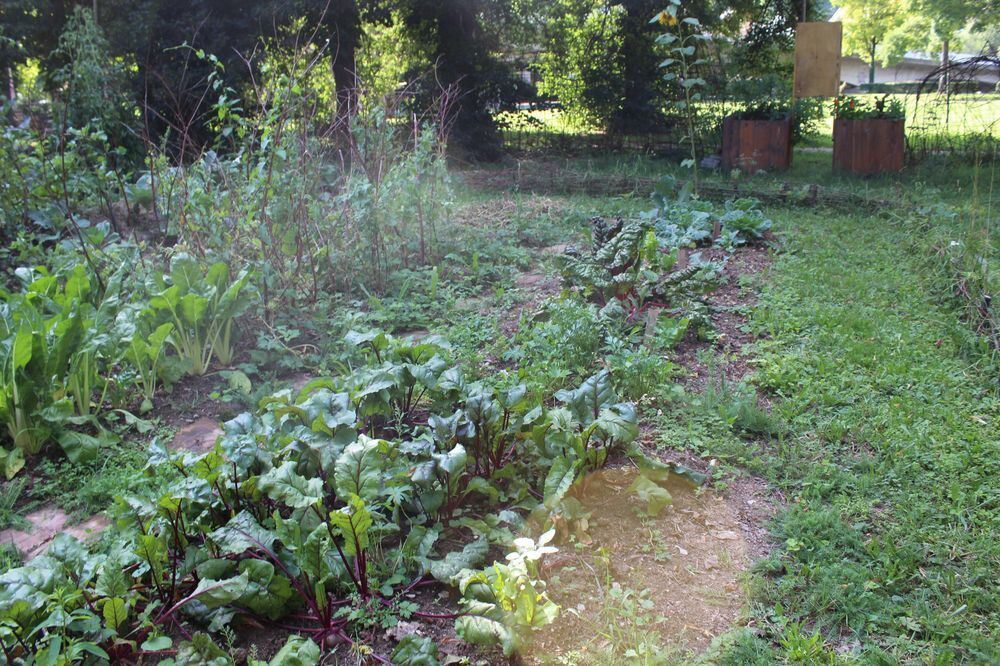 Urban Gärtnern an der Wilden Linde