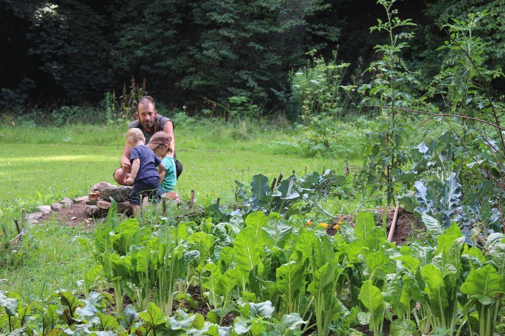 Urban Gärtnern an der Wilden Linde