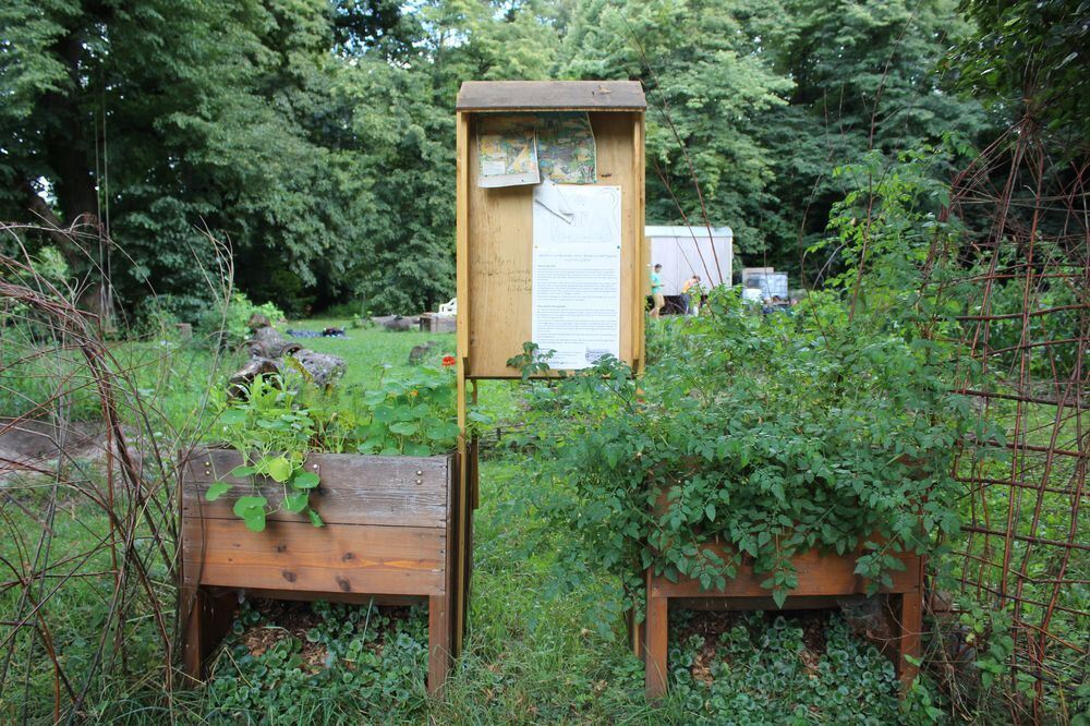 Urban Gärtnern an der Wilden Linde