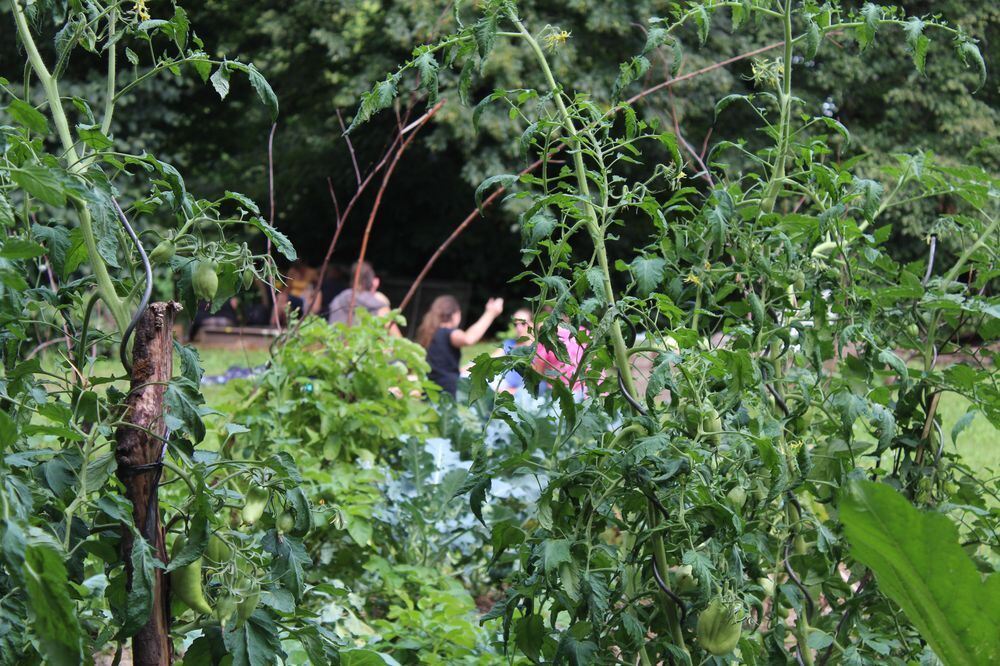 Urban Gärtnern an der Wilden Linde