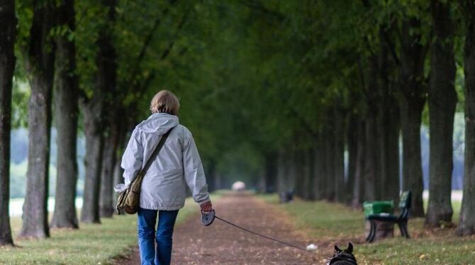 In einer aktuelle Umfrage spricht sich eine Mehrheit der Befragten dafür aus, dass Hunde auch außerhalb von Parks an der Lein