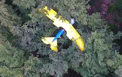 Das in den Baumwipfeln abgestürzte  Ultraleichtflugzeug. Foto: Stadtverwaltung Schwäbisch Gmünd/dpa