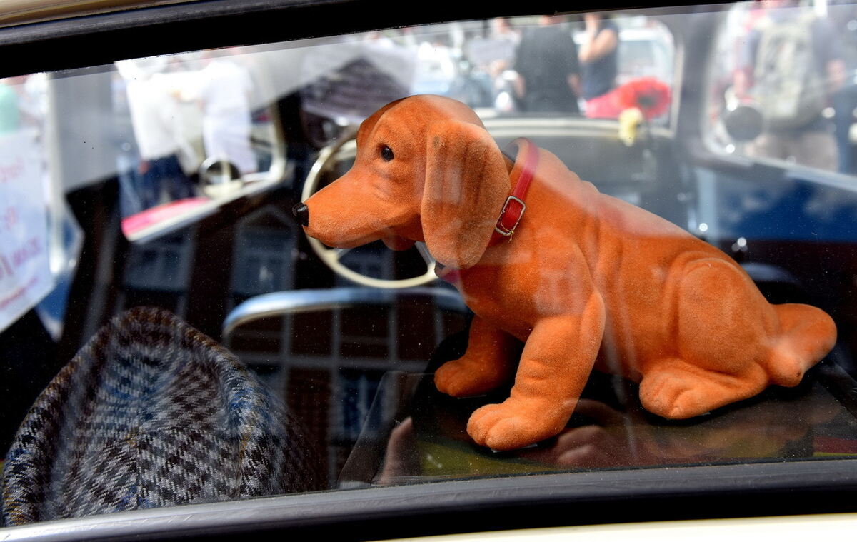 stadt-2208-oldtimertag20 pacher (jpg)