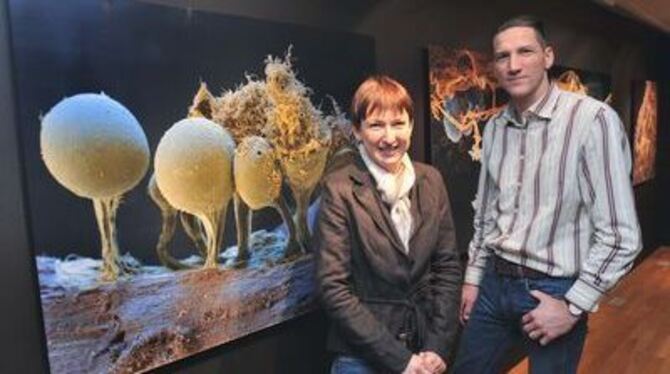 Nicole Ottawa und Oliver Meckes vor einem Foto, das Schleimpilze in 350-facher Vergrößerung zeigt. 
FOTO: TRINKHAUS