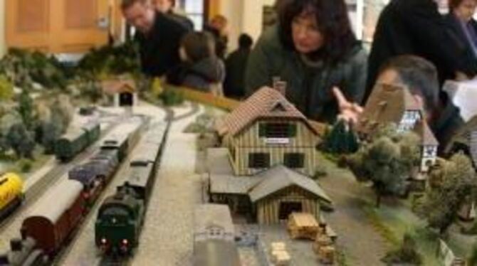 Eisenbahn-Ausstellung im Bahnhof Honau: Alt und Jung bestaunen Miniaturlandschaften und ratternde Mikro-Züge. FOTO: DIETER REISN