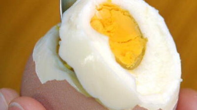 Aus welcher Haltungsform das Ei stammt, erfahren Verbraucher vom Stempel. Unter http://www.was-steht-auf-dem-Ei.de kann anhand d