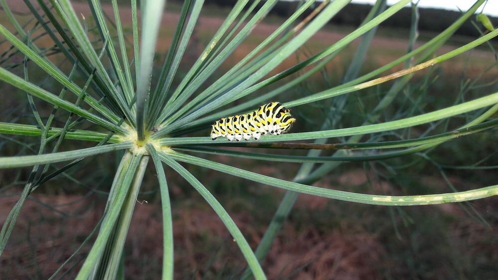 Naturfotos unserer Leser 2016