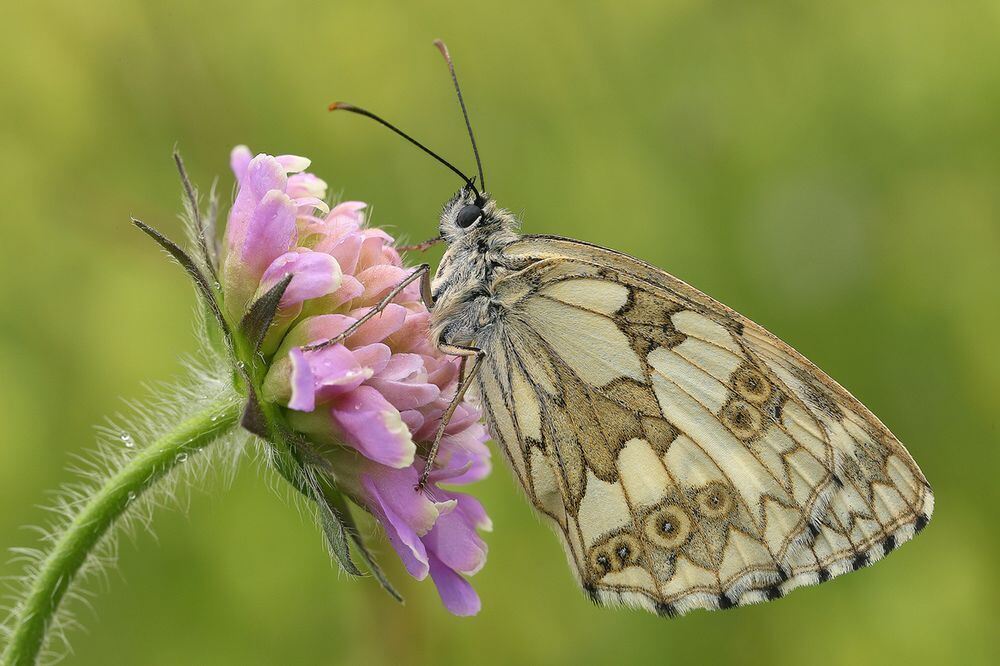 Naturfotos unserer Leser 2016