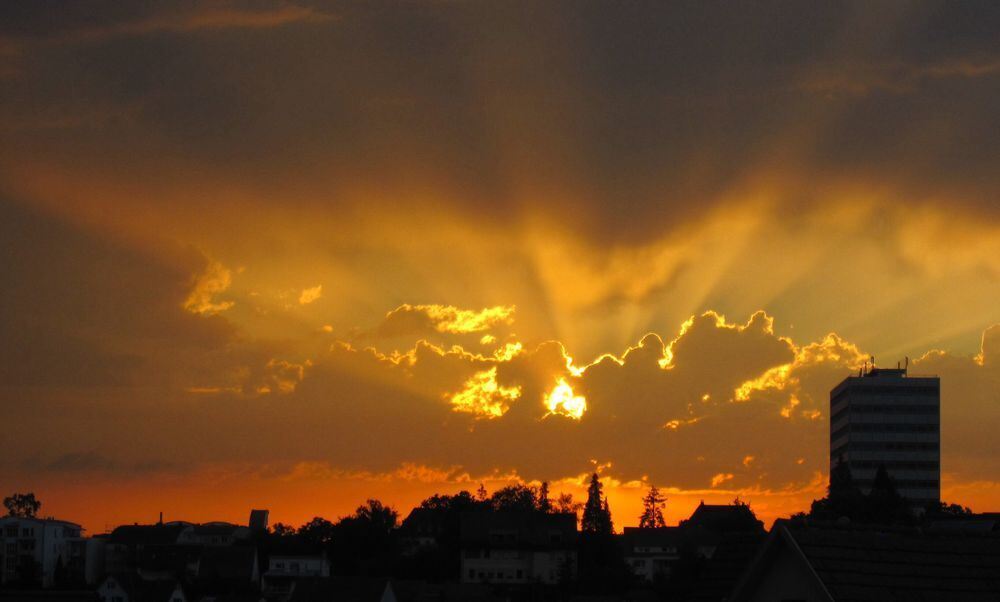 Naturfotos unserer Leser 2016