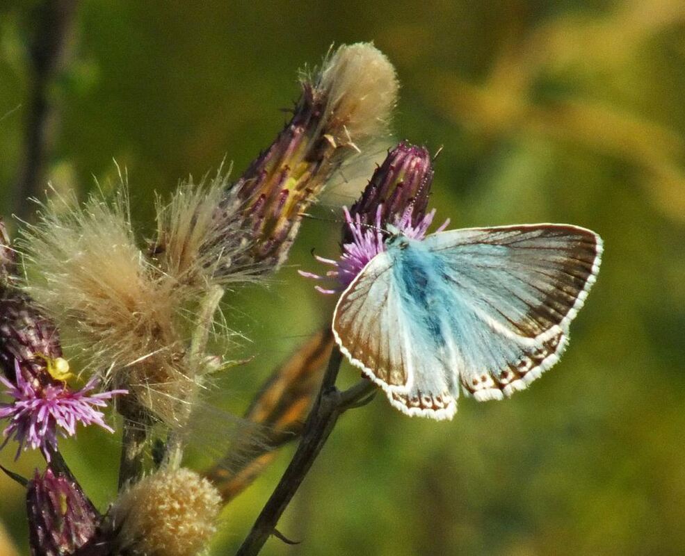 Naturfotos unserer Leser 2016
