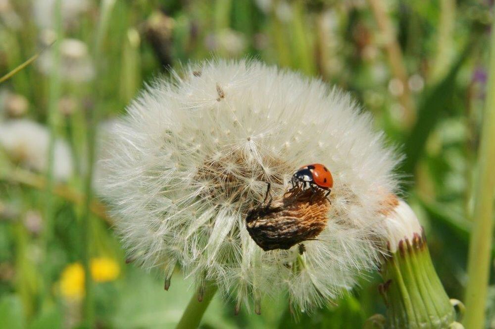Naturfotos unserer Leser 2016