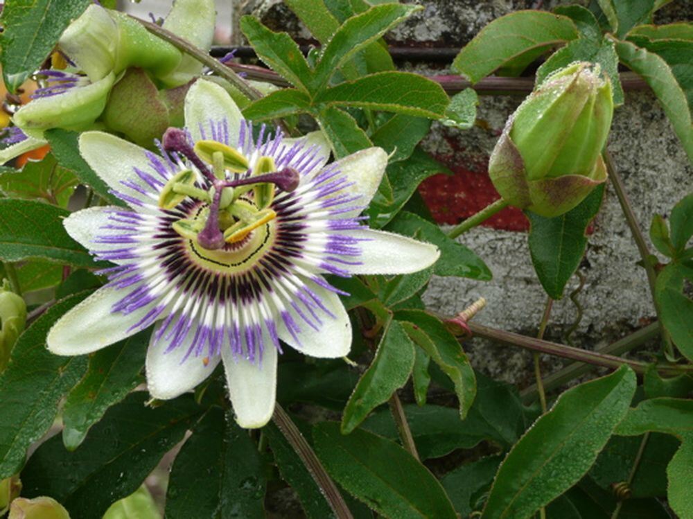 Naturfotos unserer Leser 2016