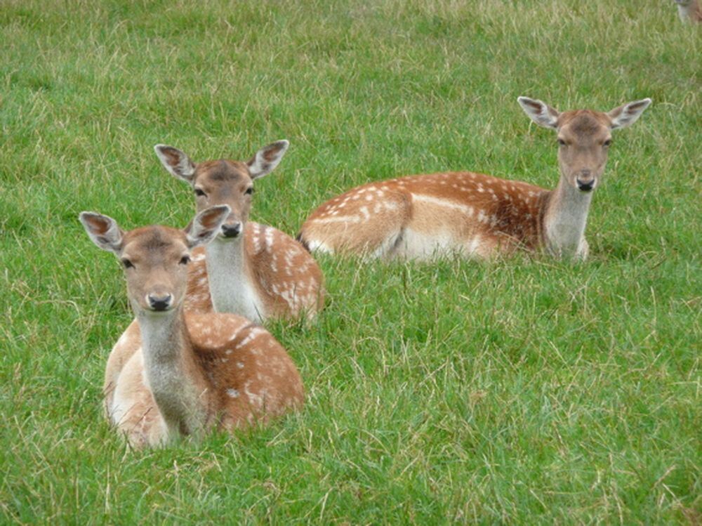 Naturfotos unserer Leser 2016