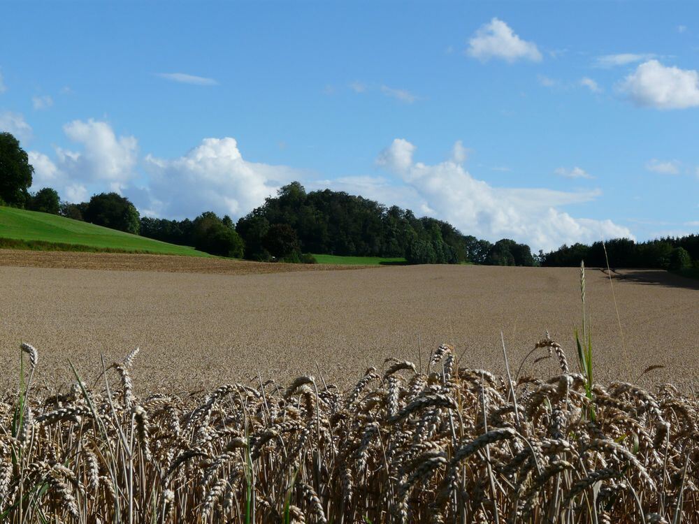 Naturfotos unserer Leser 2016