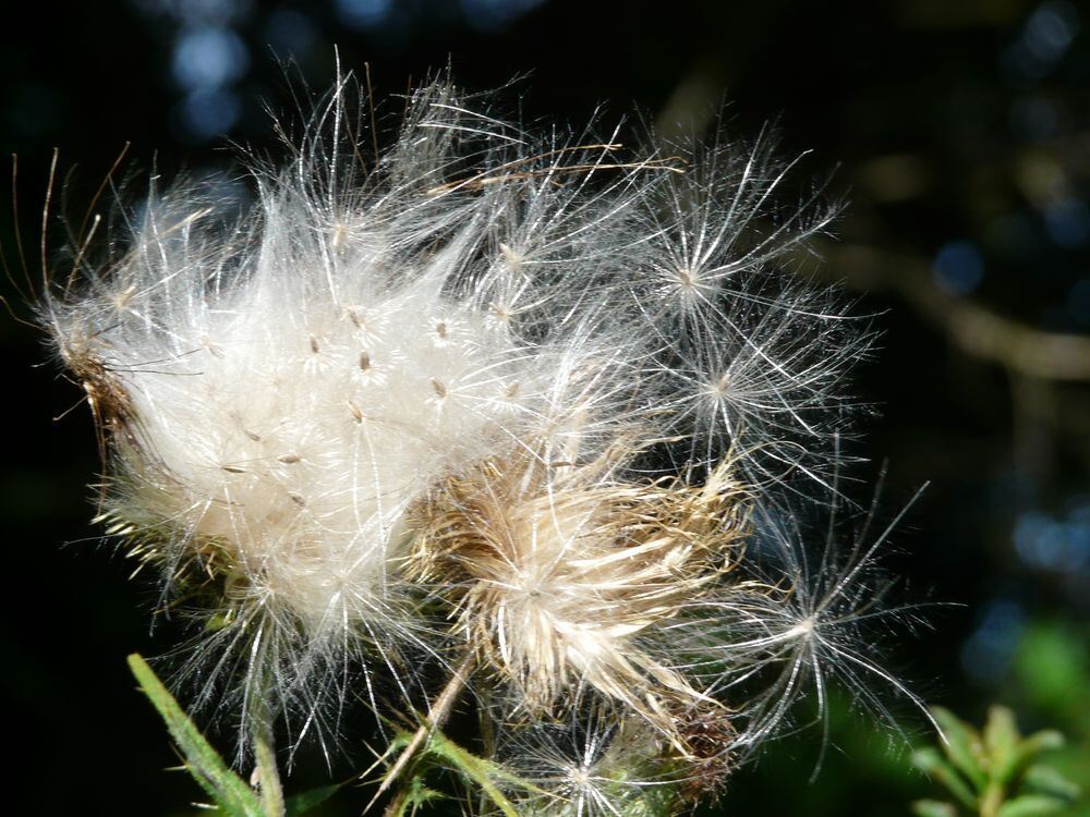 Naturfotos unserer Leser 2016